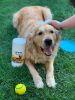 Pet and dog Grooming Cleaning Wipes