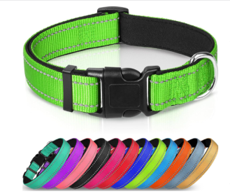 Adjustable Reflective Nylon Webbing Dog Collar (Option: Fluorescent Green-XS)