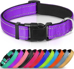 Adjustable Reflective Nylon Webbing Dog Collar (Option: Purple-XS)