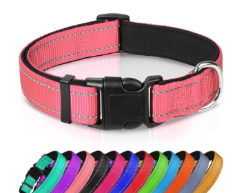 Adjustable Reflective Nylon Webbing Dog Collar (Option: Bright Pink-XS)