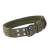 Super strong large dog collar with D-Ring & Buckle Collars Medium sized dog Golden haired horse dog Fierce dog collar