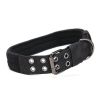Super strong large dog collar with D-Ring & Buckle Collars Medium sized dog Golden haired horse dog Fierce dog collar