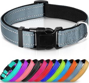 Adjustable Reflective Nylon Webbing Dog Collar (Option: Gray-XS)